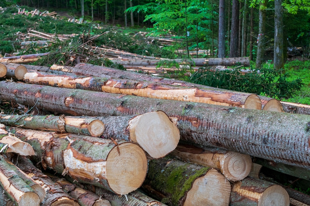 Tehnologii Smart Grid pentru Industrie